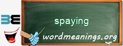 WordMeaning blackboard for spaying